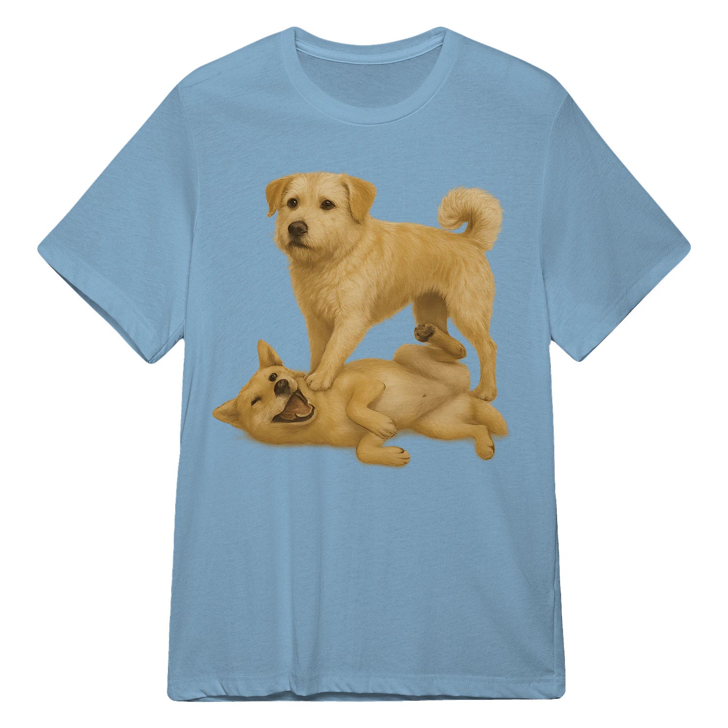 {"colors":["Light Blue","Light Blue","Light Blue","Light Blue","Light Blue","Light Blue","Light Blue","Light Blue"],"sizes":["5XL","4XL","3XL","2XL","XL","L","M","S"],"isMainImage":false}