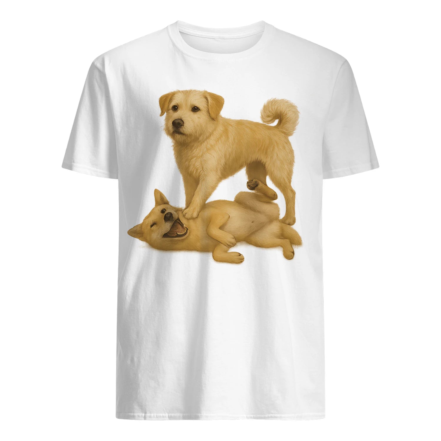 {"colors":["White","White","White","White","White","White","White","White"],"sizes":["5XL","4XL","3XL","2XL","XL","L","M","S"],"isMainImage":false}