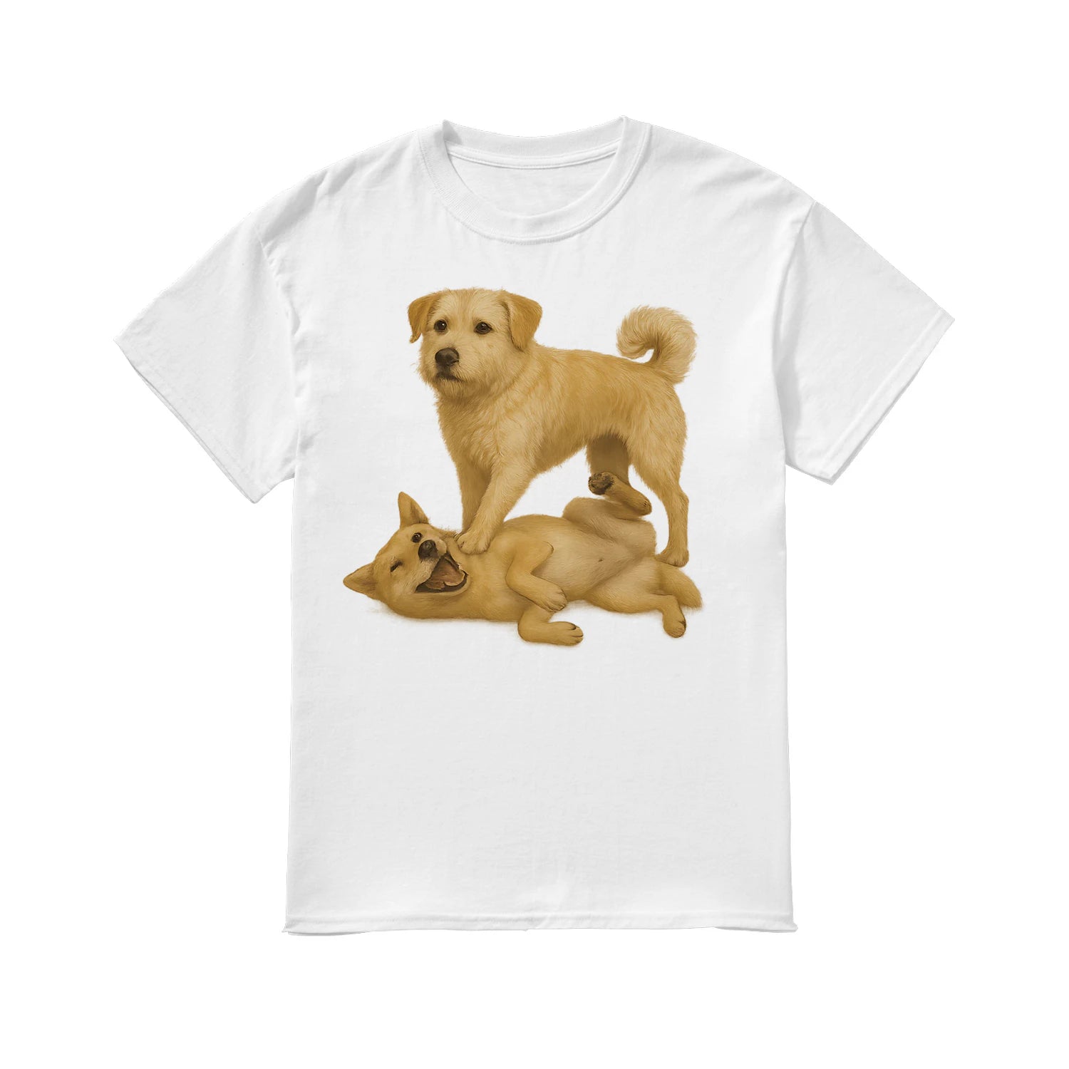 {"colors":["White","White","White","White","White","White","White","White"],"sizes":["5XL","4XL","3XL","2XL","XL","L","M","S"],"isMainImage":false}