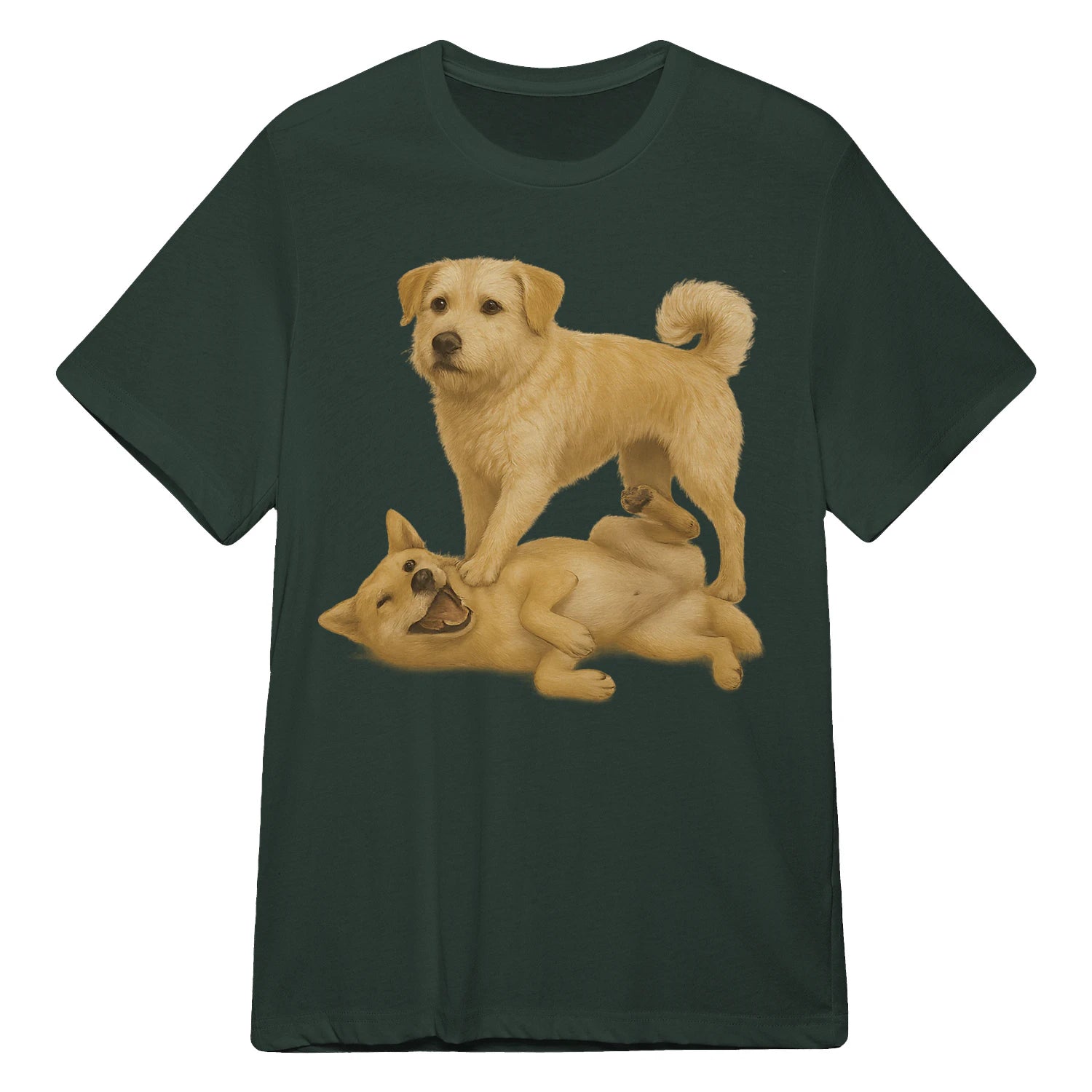 {"colors":["Forest Green","Forest Green","Forest Green","Forest Green","Forest Green","Forest Green","Forest Green","Forest Green"],"sizes":["5XL","4XL","3XL","2XL","XL","L","M","S"],"isMainImage":false}