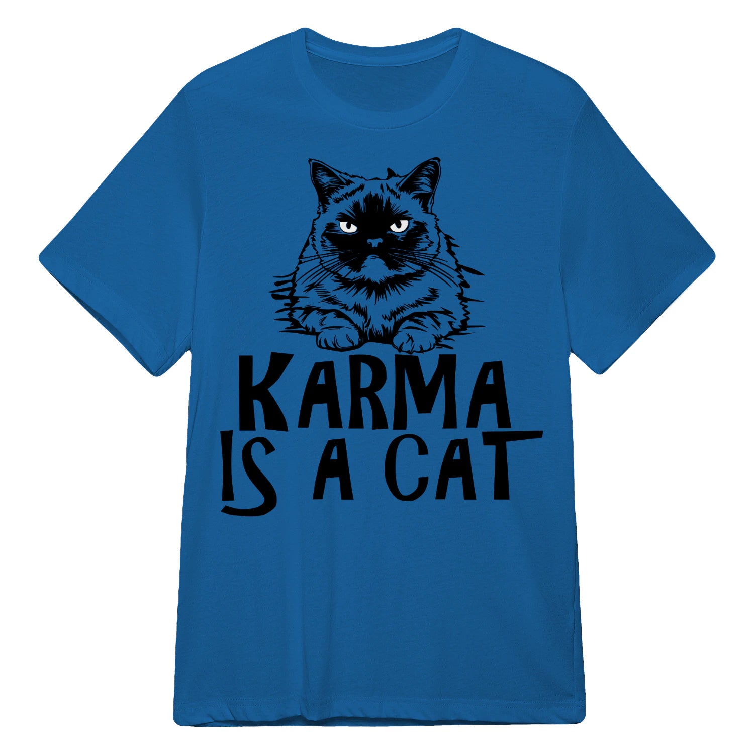 {"colors":["Royal","Royal","Royal","Royal","Royal","Royal","Royal","Royal"],"sizes":["5XL","4XL","3XL","2XL","XL","L","M","S"],"isMainImage":false}
