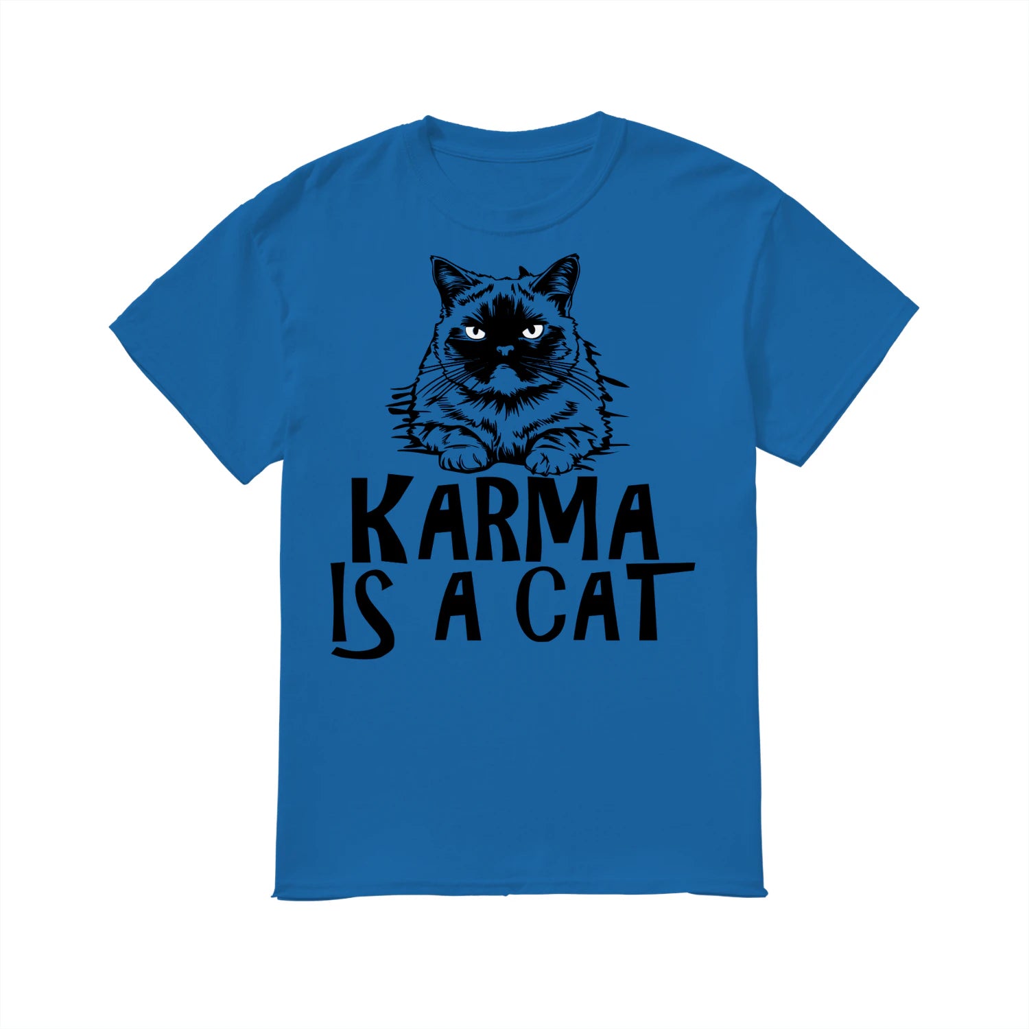 {"colors":["Royal","Royal","Royal","Royal","Royal","Royal","Royal","Royal"],"sizes":["5XL","4XL","3XL","2XL","XL","L","M","S"],"isMainImage":false}