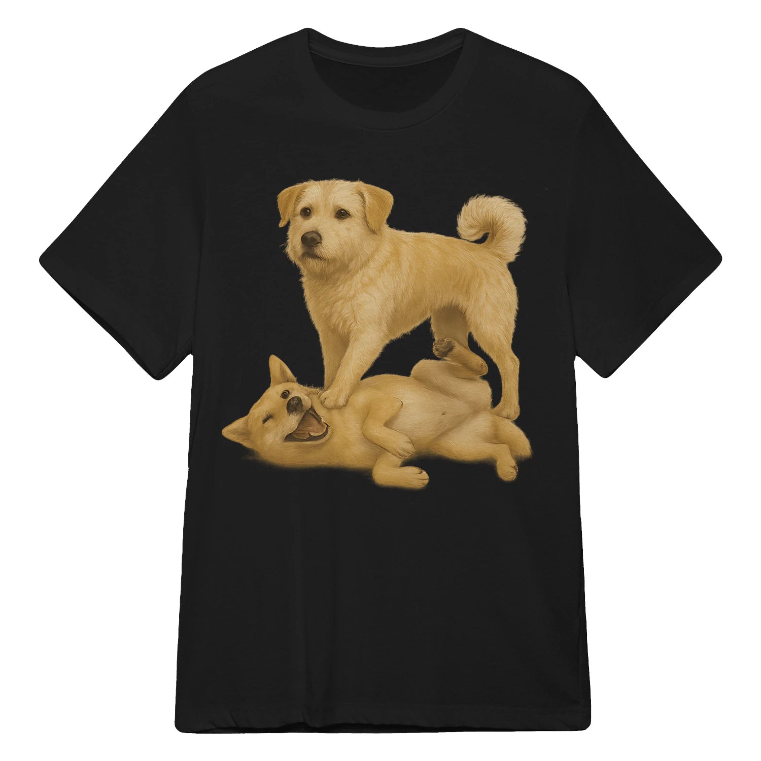 {"colors":["Black","Black","Black","Black","Black","Black","Black","Black"],"sizes":["S","5XL","4XL","3XL","2XL","XL","L","M"],"isMainImage":false}