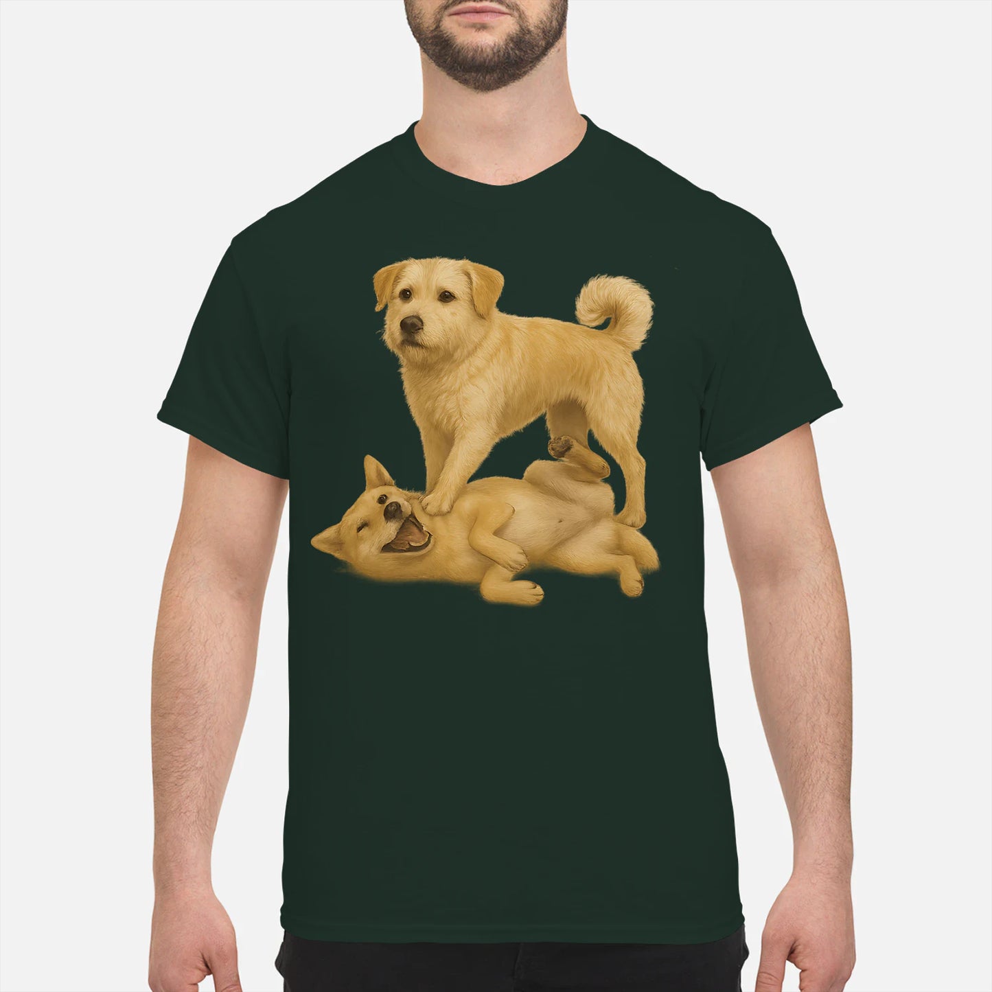 {"colors":["Forest Green","Forest Green","Forest Green","Forest Green","Forest Green","Forest Green","Forest Green","Forest Green"],"sizes":["5XL","4XL","3XL","2XL","XL","L","M","S"],"isMainImage":false}