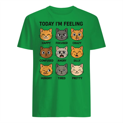 {"colors":["Irish Green","Irish Green","Irish Green","Irish Green","Irish Green","Irish Green","Irish Green","Irish Green"],"sizes":["5XL","4XL","3XL","2XL","XL","L","M","S"],"isMainImage":false}