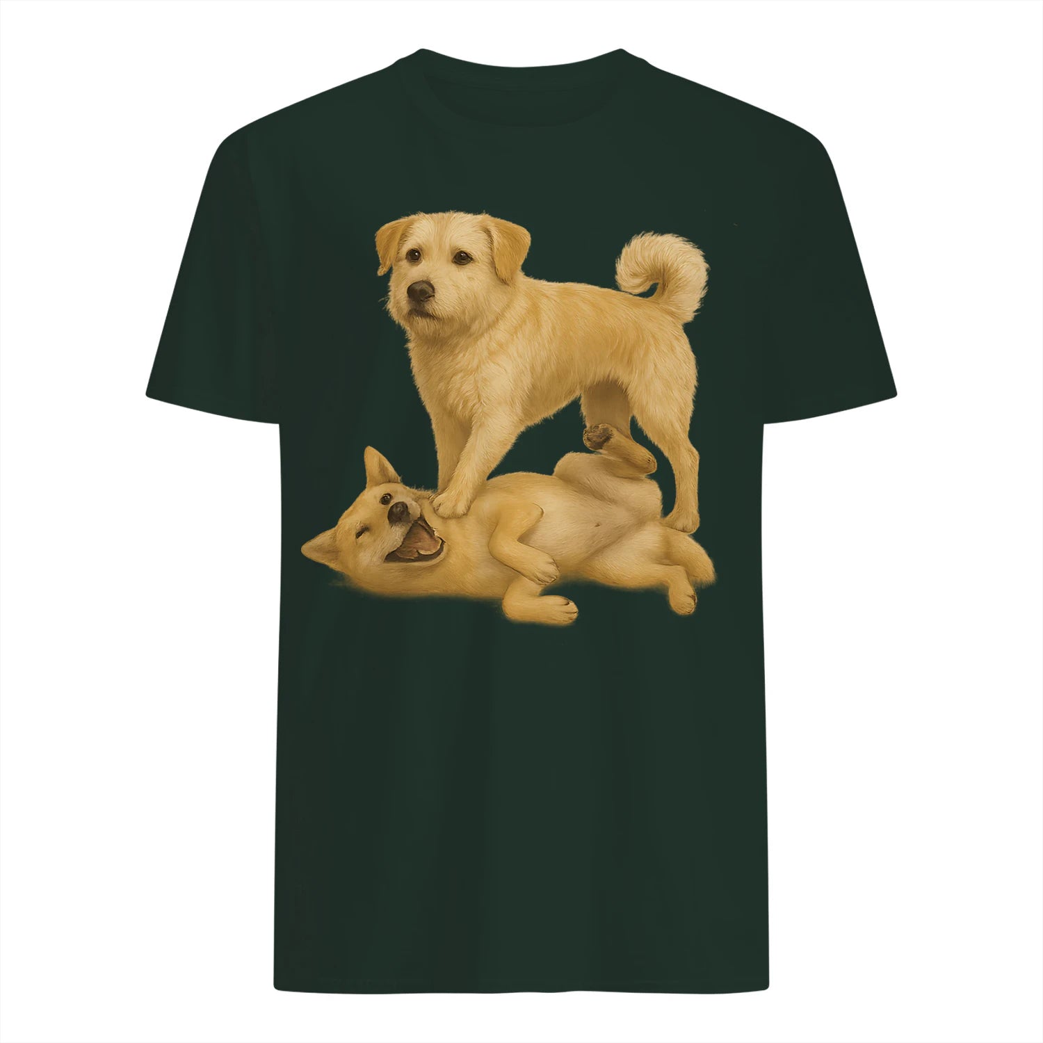 {"colors":["Forest Green","Forest Green","Forest Green","Forest Green","Forest Green","Forest Green","Forest Green","Forest Green"],"sizes":["5XL","4XL","3XL","2XL","XL","L","M","S"],"isMainImage":false}