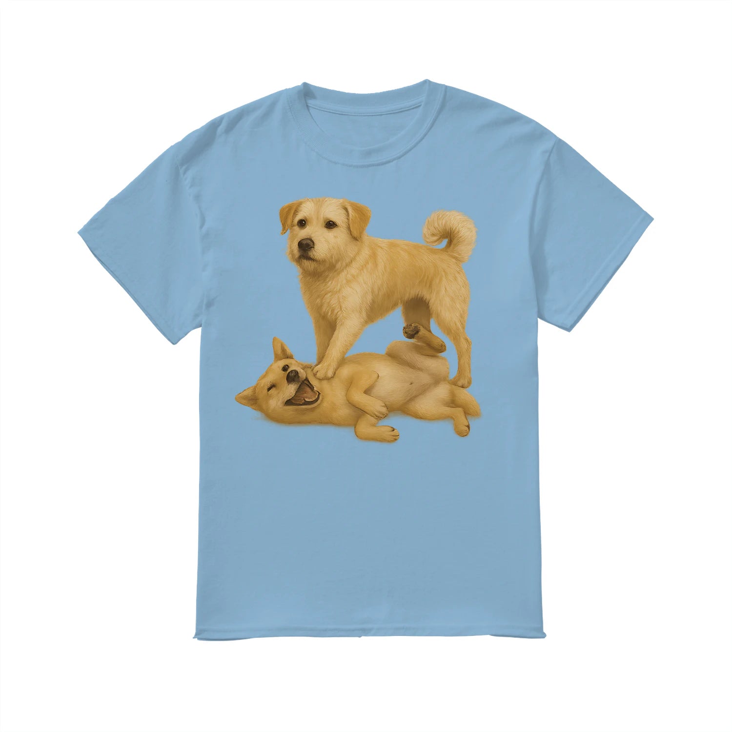 {"colors":["Light Blue","Light Blue","Light Blue","Light Blue","Light Blue","Light Blue","Light Blue","Light Blue"],"sizes":["5XL","4XL","3XL","2XL","XL","L","M","S"],"isMainImage":false}