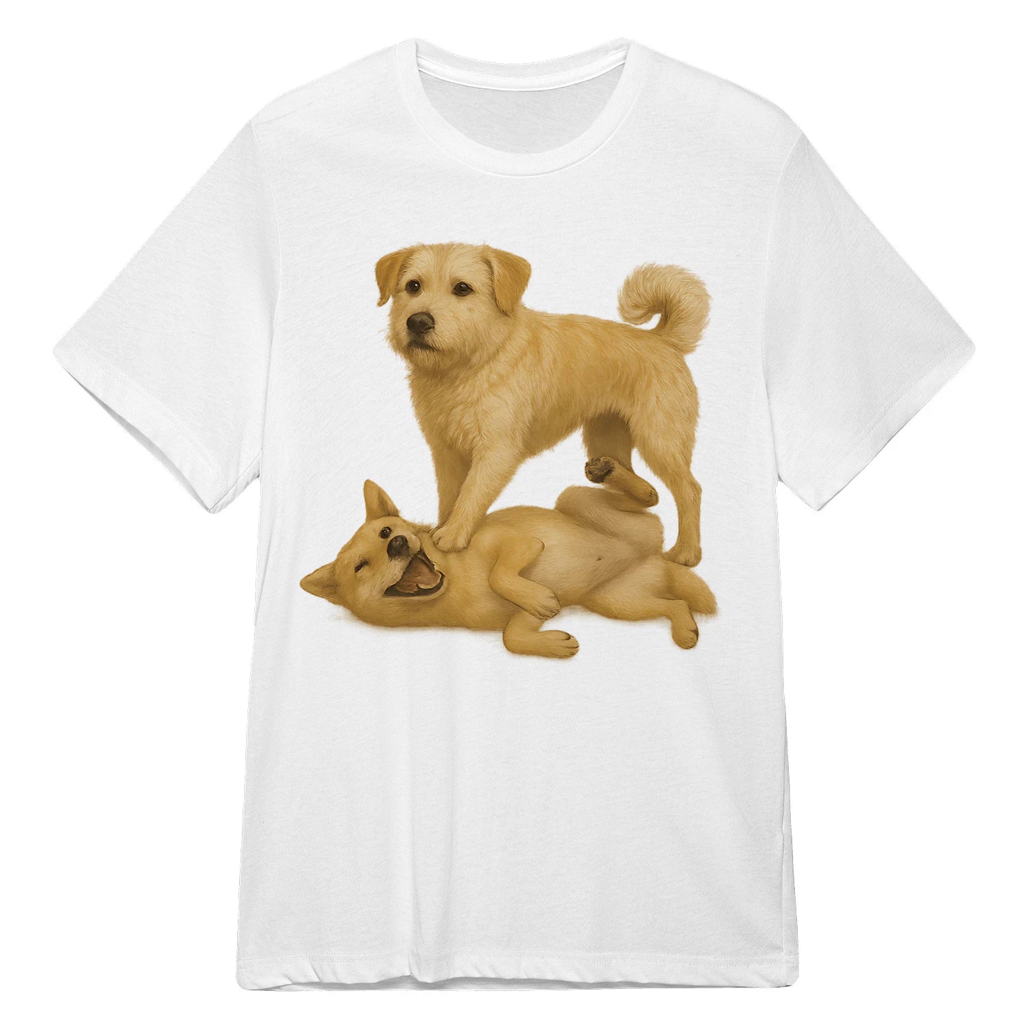 {"colors":["White","White","White","White","White","White","White","White"],"sizes":["5XL","4XL","3XL","2XL","XL","L","M","S"],"isMainImage":false}