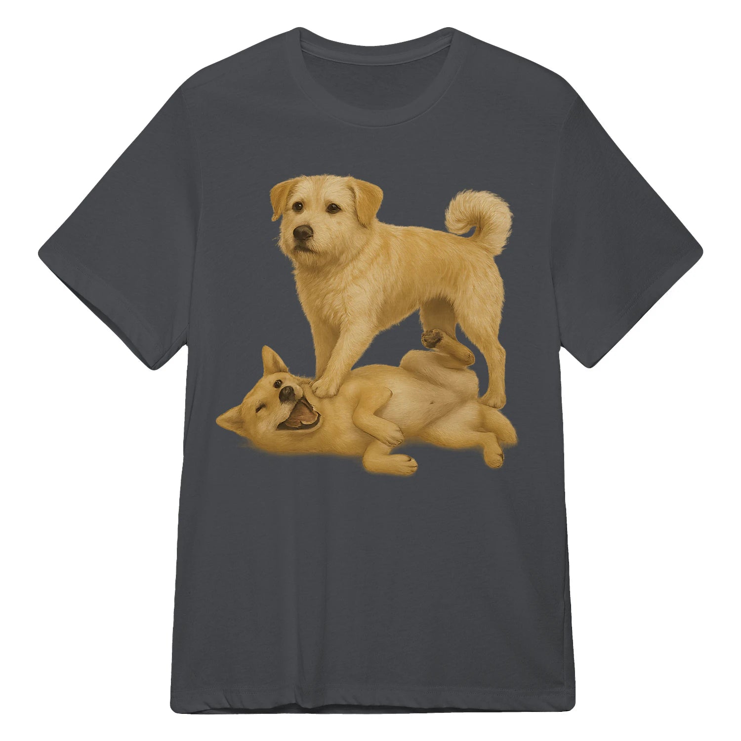 {"colors":["Charcoal","Charcoal","Charcoal","Charcoal","Charcoal","Charcoal","Charcoal","Charcoal"],"sizes":["5XL","4XL","3XL","2XL","XL","L","M","S"],"isMainImage":false}