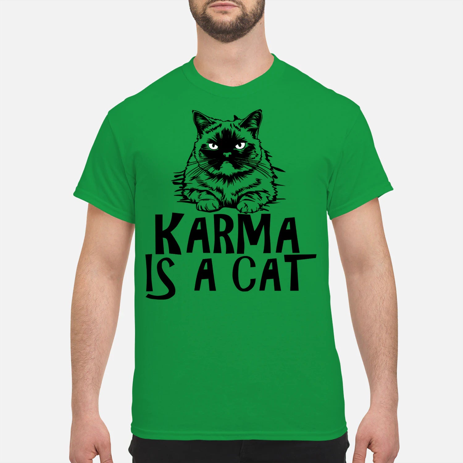 {"colors":["Irish Green","Irish Green","Irish Green","Irish Green","Irish Green","Irish Green","Irish Green","Irish Green"],"sizes":["5XL","4XL","3XL","2XL","XL","L","M","S"],"isMainImage":false}