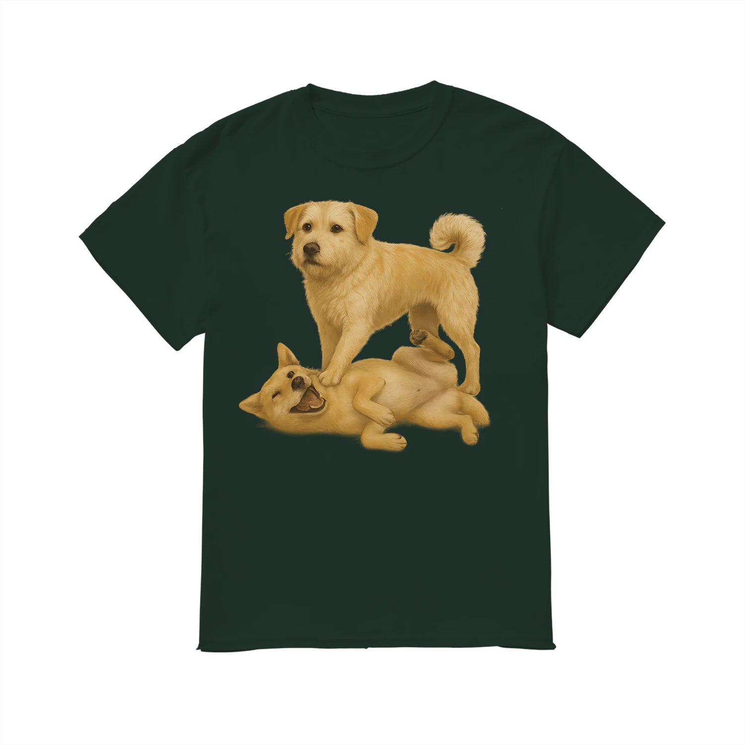 {"colors":["Forest Green","Forest Green","Forest Green","Forest Green","Forest Green","Forest Green","Forest Green","Forest Green"],"sizes":["5XL","4XL","3XL","2XL","XL","L","M","S"],"isMainImage":false}